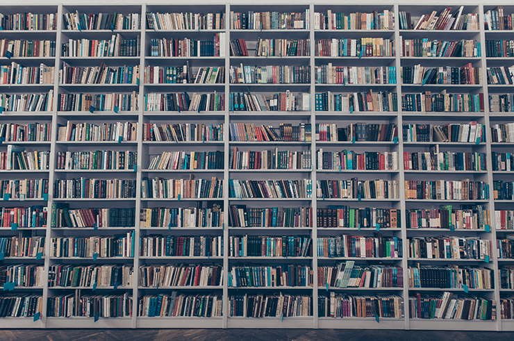 Eine komplette Wand aus einem vollen Bücherregal.